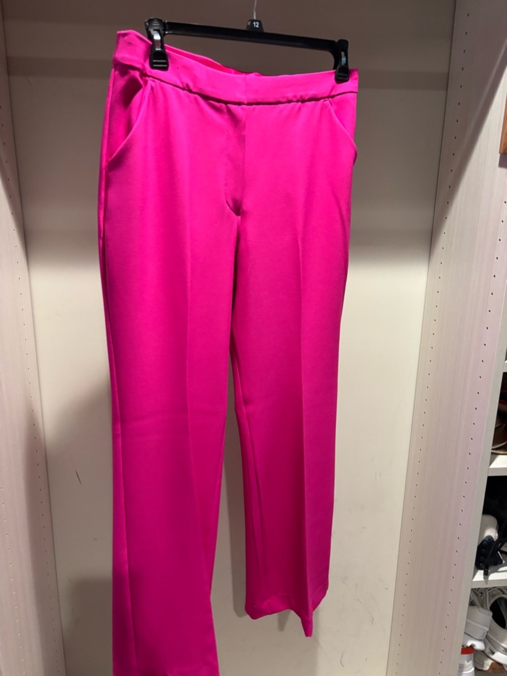 Express Wide Leg Pants in Hot Pink